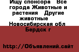 Ищу спонсора - Все города Животные и растения » Другие животные   . Новосибирская обл.,Бердск г.